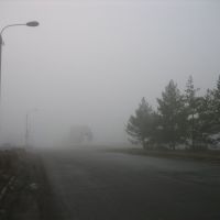 Утренний туман. Morning fog., Гай