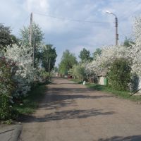 Весна на ул. Чапаева, Верховье