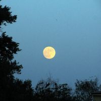 Полная Луна за месяц до затмения, Орел