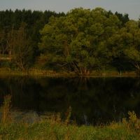 Old Pond, Башмаково