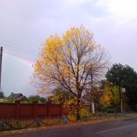 Осень 2010 (после дождя), Колышлей