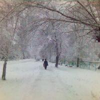 Snow Day / Снежный день, Никольск