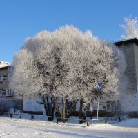 Морозный день, Верещагино