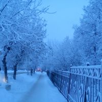 зимние прогулки, Верещагино