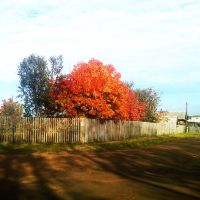 Осенние краски...., Кудымкар