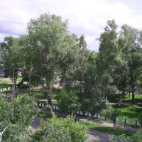 Шахин Александр: фото - Вид на парк, Арсеньев