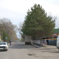 Перед рынком (дорога к федеральной трассе Хабаровск-Владивосток), Дальнереченск