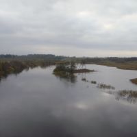 Shelon river in automn, Дедовичи