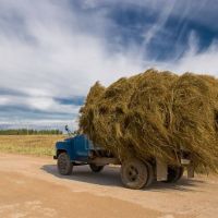 haystack in a truck, Печоры