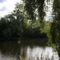 Pond, Пушкинские Горы