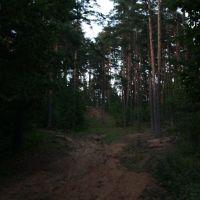 Sand path in the pine forest, Пушкинские Горы