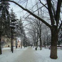 Азов в снегу, Азов