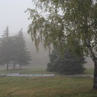 Осенний туман. Autumn fog., Азов