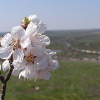 Весна. Вид с горы Караул, Белая Калитва