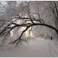 Зима в хуторе Сеньшин, Боковская