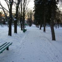 Парк Зимой. winter Park, Большая Мартыновка