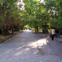 Парк "Дружбы", Волгодонск