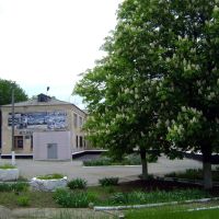 Музей и каштаны, Гуково