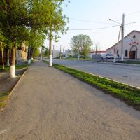 центральная улица, Зверево