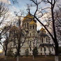 Золотые Купола VIII, Новочеркасск