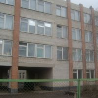 Школа №1, Песчанокопское