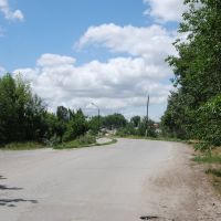 Дорога вдоль пруда, Тацинский