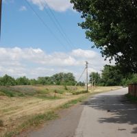 Дорога вдоль стадиона, Тацинский