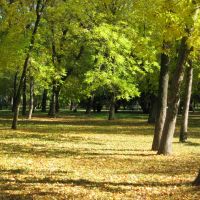 autumnal park, Шахты
