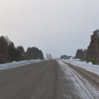 Road to Gus-Zhelenii from Kasimov, Гусь Железный