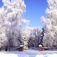 Парк зимой, Ермишь