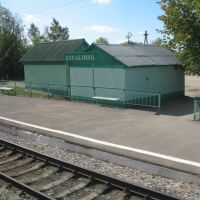 станция Кораблино (вид из поезда), Кораблино
