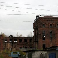 Руины консервного завода, Ряжск