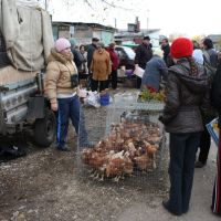 Торговля живностью на базаре, Скопин