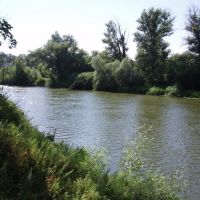 small river of Sok, Красный Яр