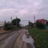 разбитая дорога и сорняки по ул. Рабочая, Безенчук