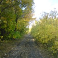 Дорога через лес, Красноармейское
