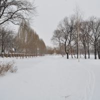 В парке "Дубки" зимой., Новокуйбышевск
