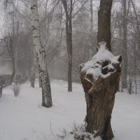 Первый снег, Отрадный