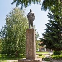 Ленин в Пестравке, Пестравка