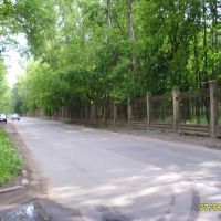 Дорога у парка Волхов-2, Волхов