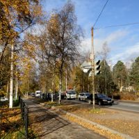 Autumn in Vsevolozhsk / Осень во Всеволожске, Всеволожск