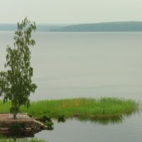View to Zashchitnaya bay in Monrepo park, Выборг
