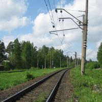 Железная дорога в сторону платформы "Михайловка", Вырица