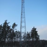 Башня Линк Девелопмент в г.Высоцк (юг) Выборгский р-н, Высоцк