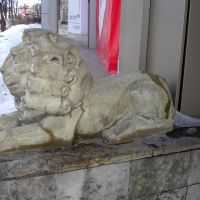 Лев, Гатчина