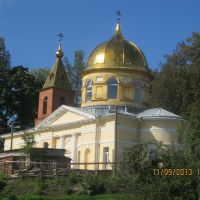 Спасо-Преображенская церковь, Дружная Горка