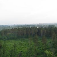 sky and forest, Дубровка