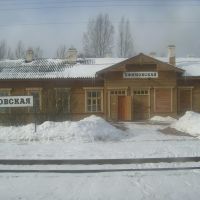 Efimovskaya Railway Station, Ефимовский