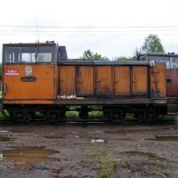 тепловоз ТУ6(Narrow-gage diesel locomotive), Ефимовский