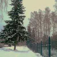 ЗЕЛЕНОГОРСК. Зимняя дорожка. / Zelenogorsk., Зеленогорск